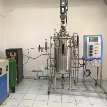 一级发酵罐