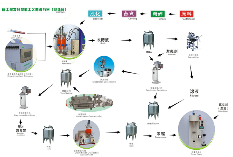 酶工程发酵整体工艺（胞外）